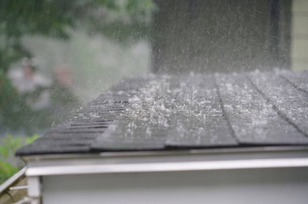 Best Green or Eco-Friendly Roofing Solutions  in Kirtland Af, NM