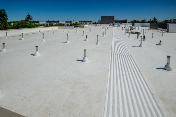 Best Roof Coating and Sealing  in Kirtland Af, NM